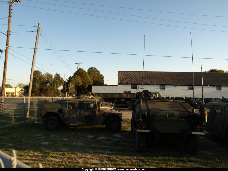 Les Humvees de la garde national du Texas  P3255711