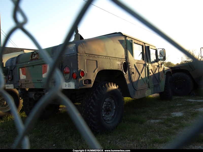 Les Humvees de la garde national du Texas  P3255714