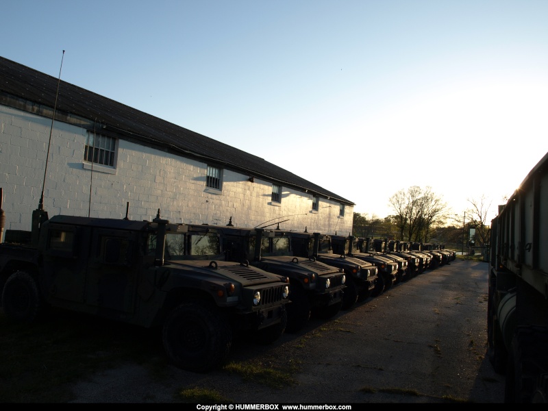 Les Humvees de la garde national du Texas  P3255716