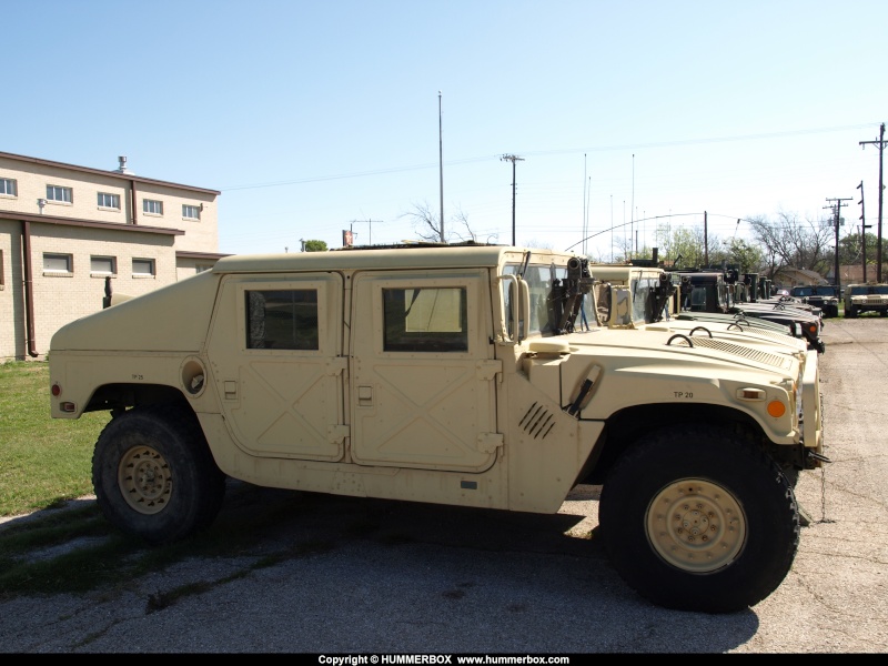 Les Humvees de la garde national du Texas  P3255720