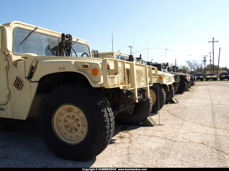 Les Humvees de la garde national du Texas  P3255721