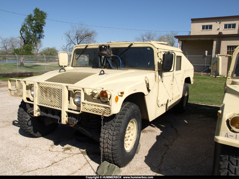 Les Humvees de la garde national du Texas P3255722