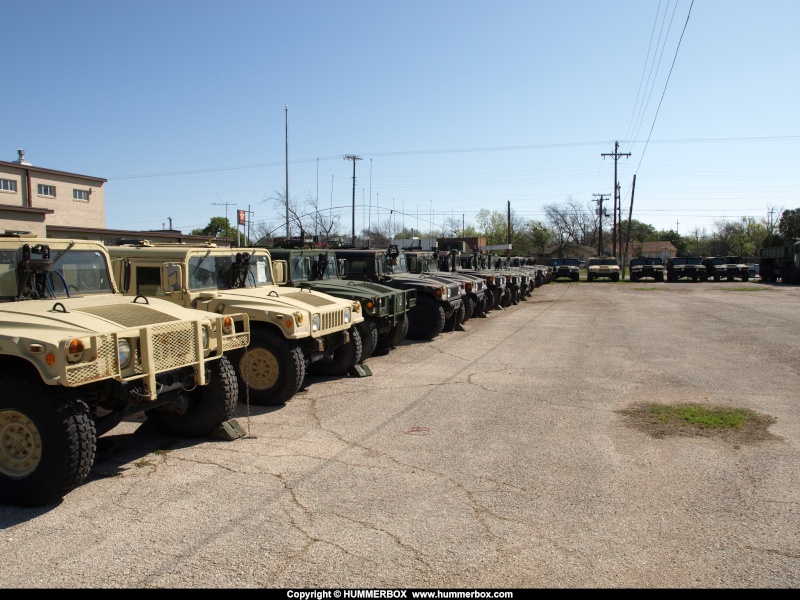Les Humvees de la garde national du Texas  P3255725