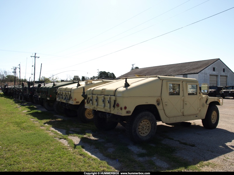 Les Humvees de la garde national du Texas  P3255727