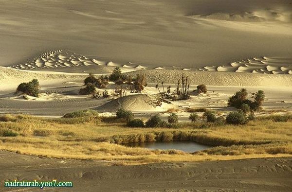صور جبل واو الناموس الذى يشبة سطح القمر فى ليبيا 2_copy20