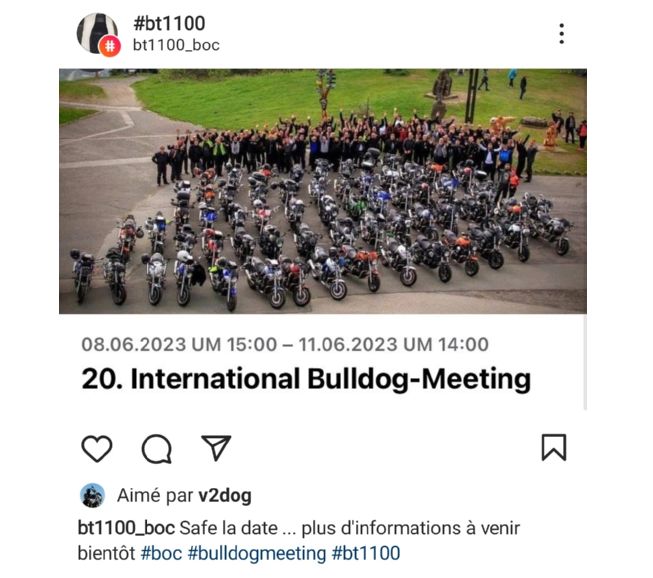 International Bulldog Meeting Intern11