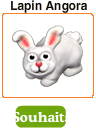 Lapin Angora Souhai12