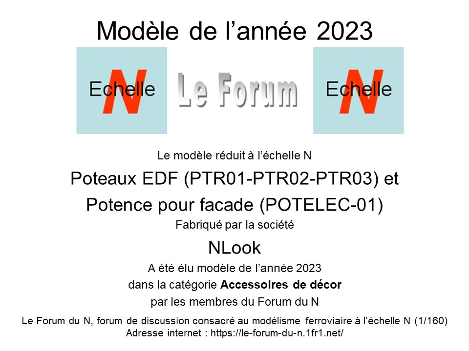 Modèles de l'année 2023 - Forum du N 2023_a11