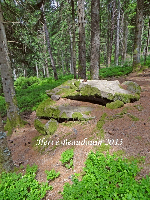 Sortie dans le massif du Fossard Dsc05914