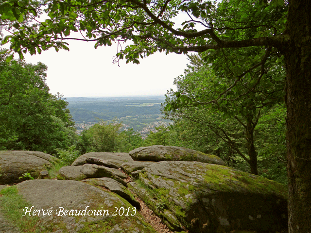 Sortie dans le massif du Fossard Dsc06010