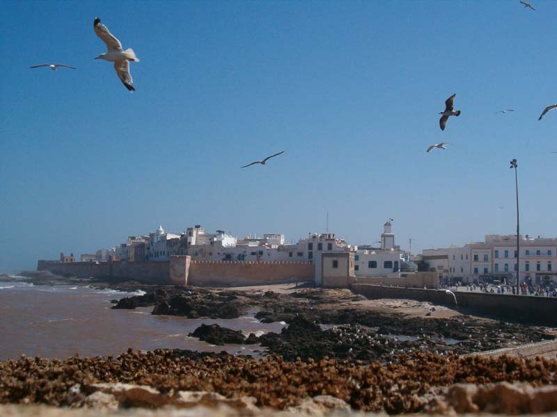 appunti sul marocco Hpim0010
