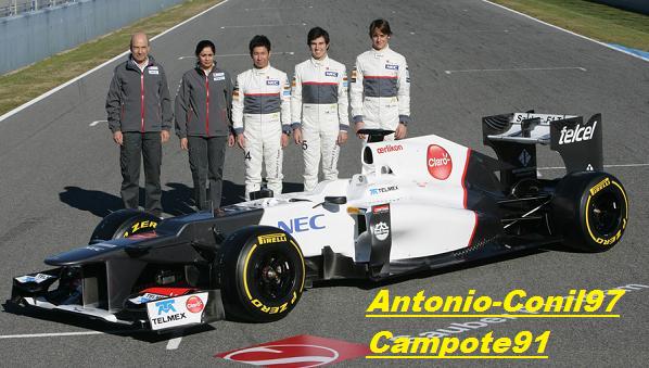 EQUIPOS OFICIALES Sauber11