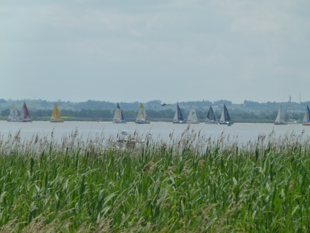 La Solitaire du Figaro à Pauillac P1150413