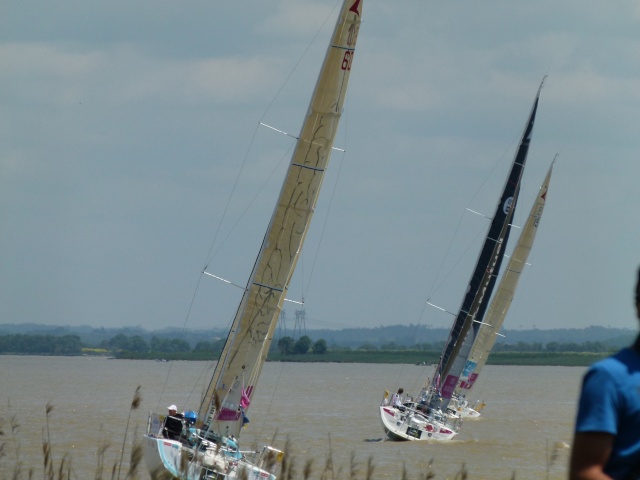 La Solitaire du Figaro à Pauillac P1150526