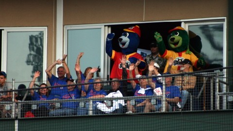 Smokies Baseball Club Suite Night out Smbb_s10