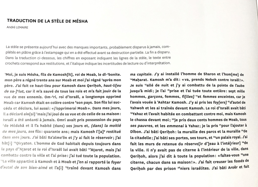 La guerre au moyen orient: Israel, Palestiniens et Hamas, Liban, Iran La crise actuelle - Page 6 Img_7812