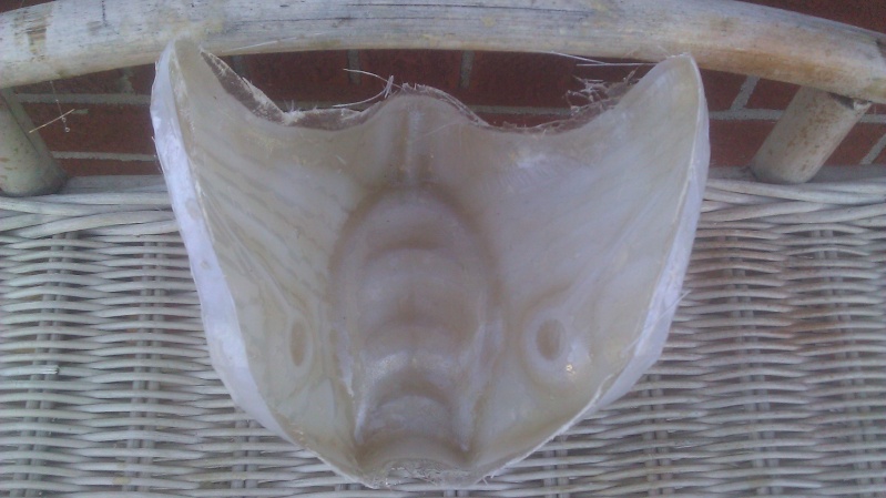 Masque de subzero  Imag0520