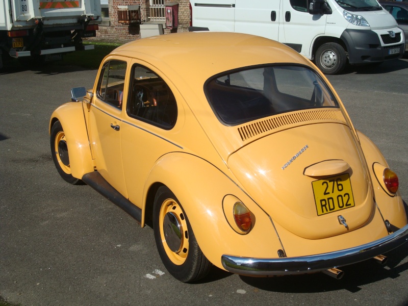 Yellow Bug (cox 68) Dsc02013
