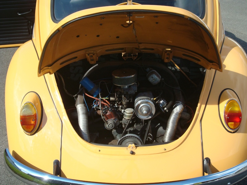 Yellow Bug (cox 68) Dsc02016