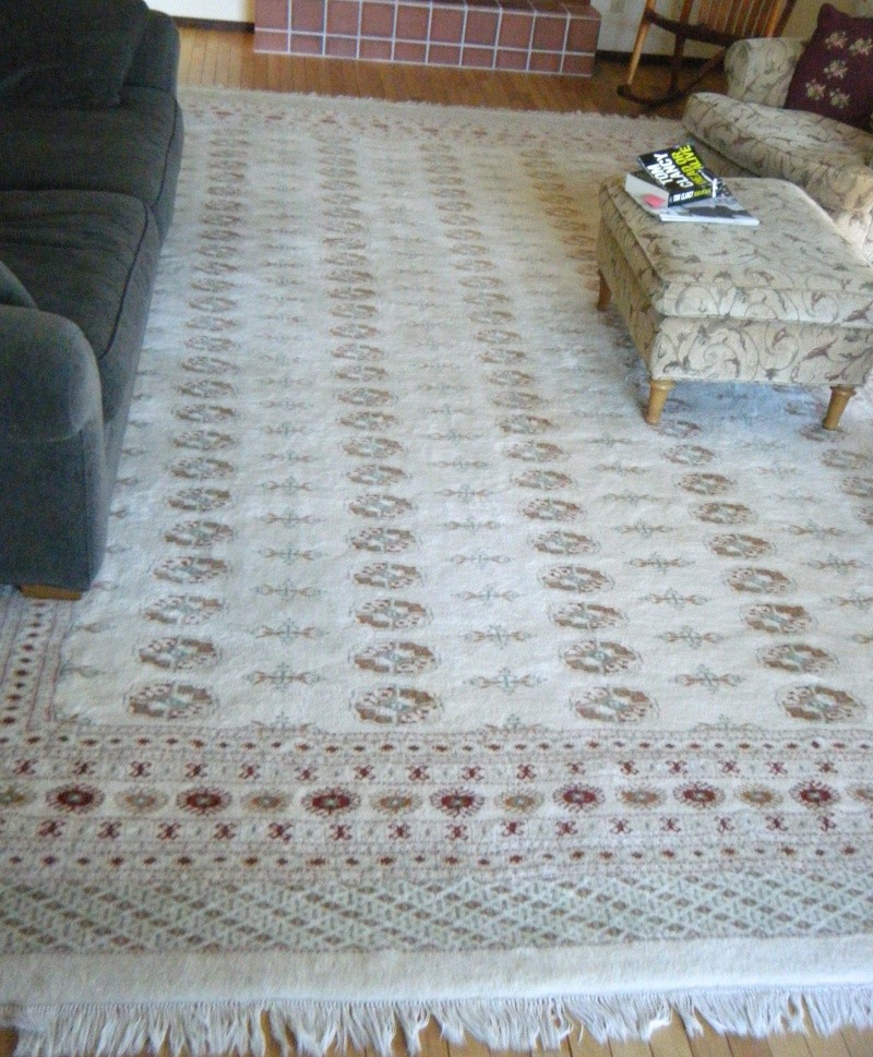 Large Ivory Colored Boukara Rug -- 10' x 14' FOR SALE Dscf8610