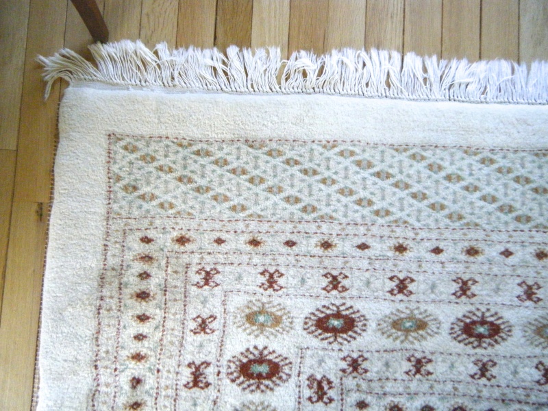 Large Ivory Colored Boukara Rug -- 10' x 14' FOR SALE Dscf8615