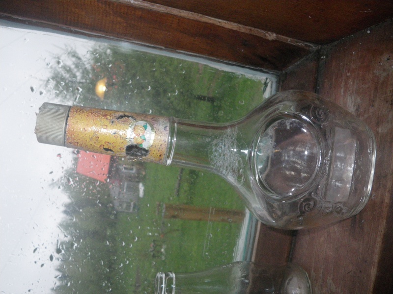 une journee sous la pluie... Imgp0113