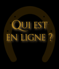 Qui est en ligne ?