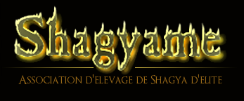 Le Shagyâme - Association Equidéow