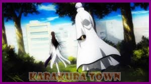 Bleach Final War Kara10