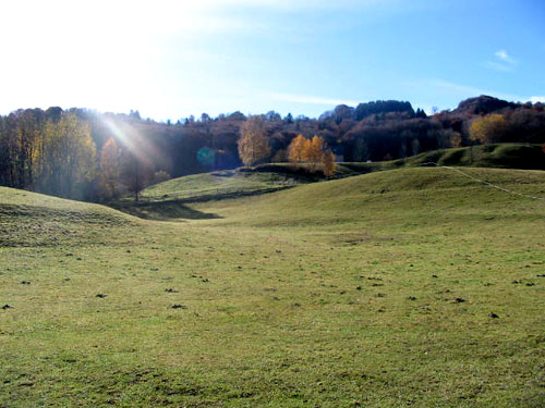 La plaine  Plaine10