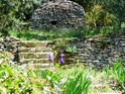 Maison de charme en pierres sèches avec piscine chauffée, 84800 Saumane-de-Vaucluse (Vaucluse) P1100014