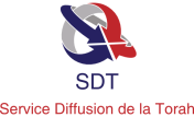 Choix du Logo du SDT  Logo_s12