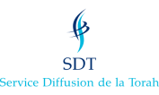 Choix du Logo du SDT  Logo_s13