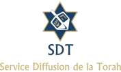 Choix du Logo du SDT  Logo_s15