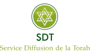 Choix du Logo du SDT  Logo_s16