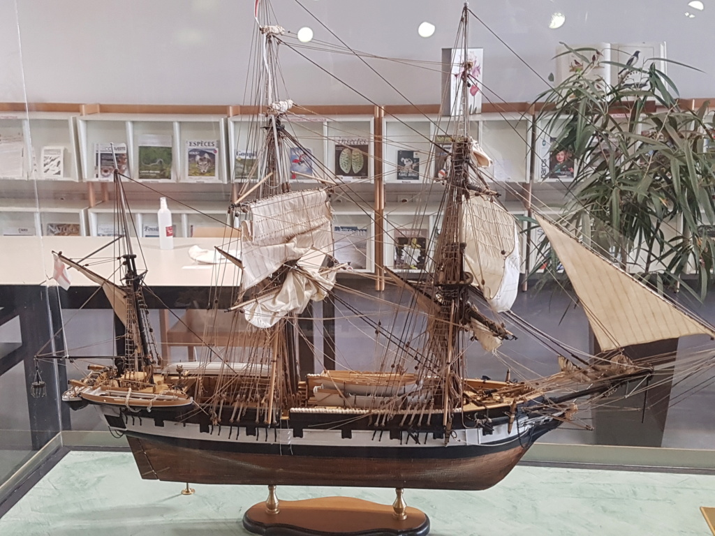 HMS Beagle de Cl. Poulin (Médiathèque Musée d'Histoire Naturelle Paris) 20210716