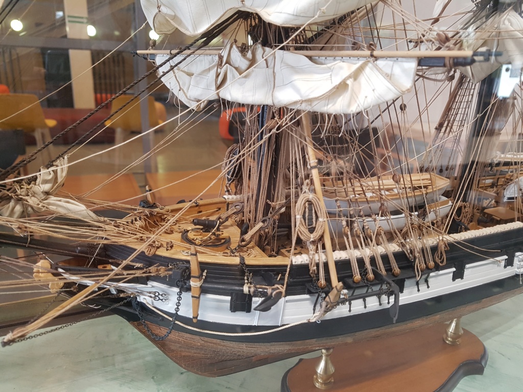 HMS Beagle de Cl. Poulin (Médiathèque Musée d'Histoire Naturelle Paris) 20210722