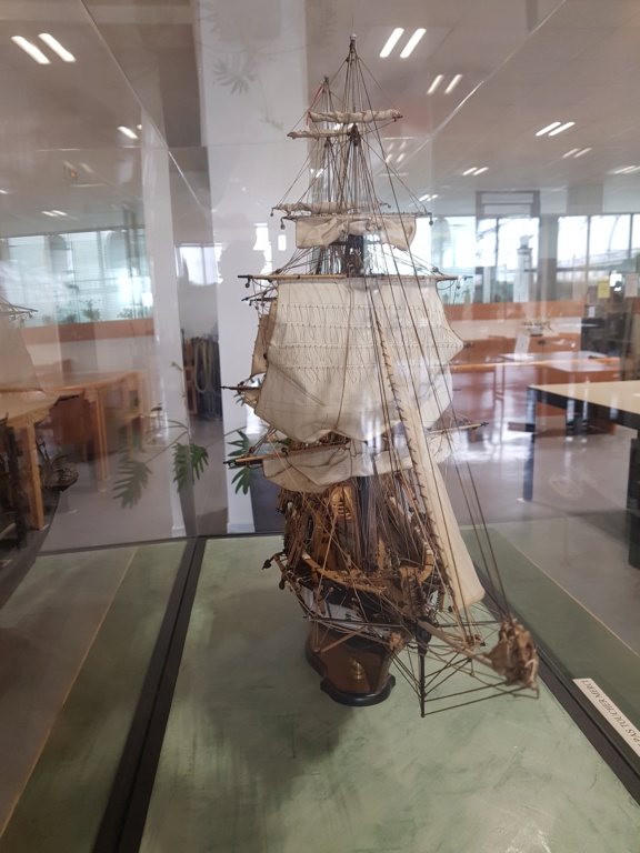 HMS Beagle de Cl. Poulin (Médiathèque Musée d'Histoire Naturelle Paris) 20210728