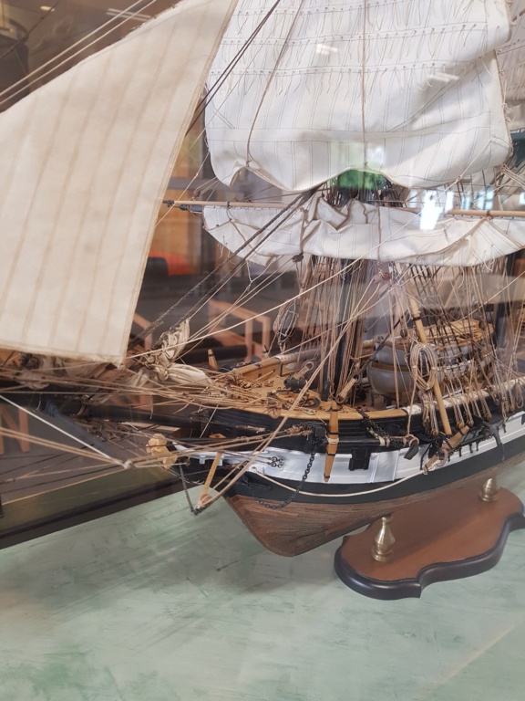 HMS Beagle de Cl. Poulin (Médiathèque Musée d'Histoire Naturelle Paris) 20210729