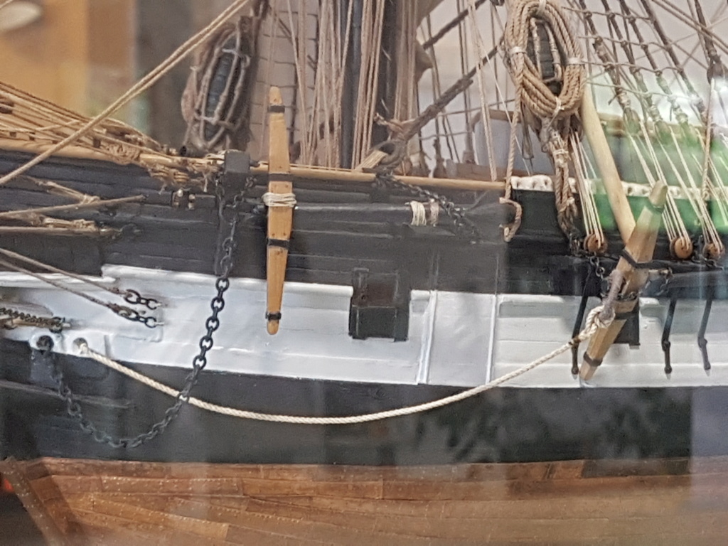 HMS Beagle de Cl. Poulin (Médiathèque Musée d'Histoire Naturelle Paris) 20210734