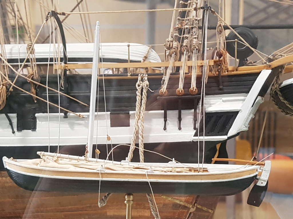 HMS Beagle de Cl. Poulin (Médiathèque Musée d'Histoire Naturelle Paris) 20210743