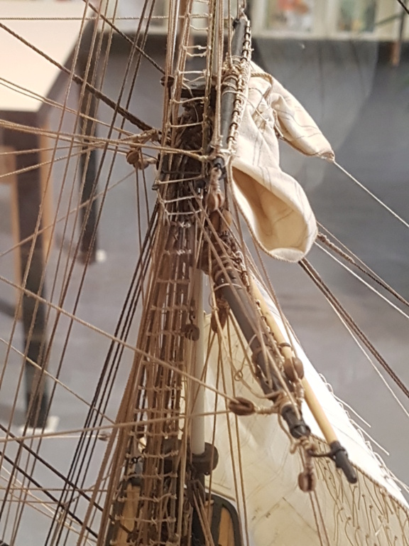 HMS Beagle de Cl. Poulin (Médiathèque Musée d'Histoire Naturelle Paris) 20210748