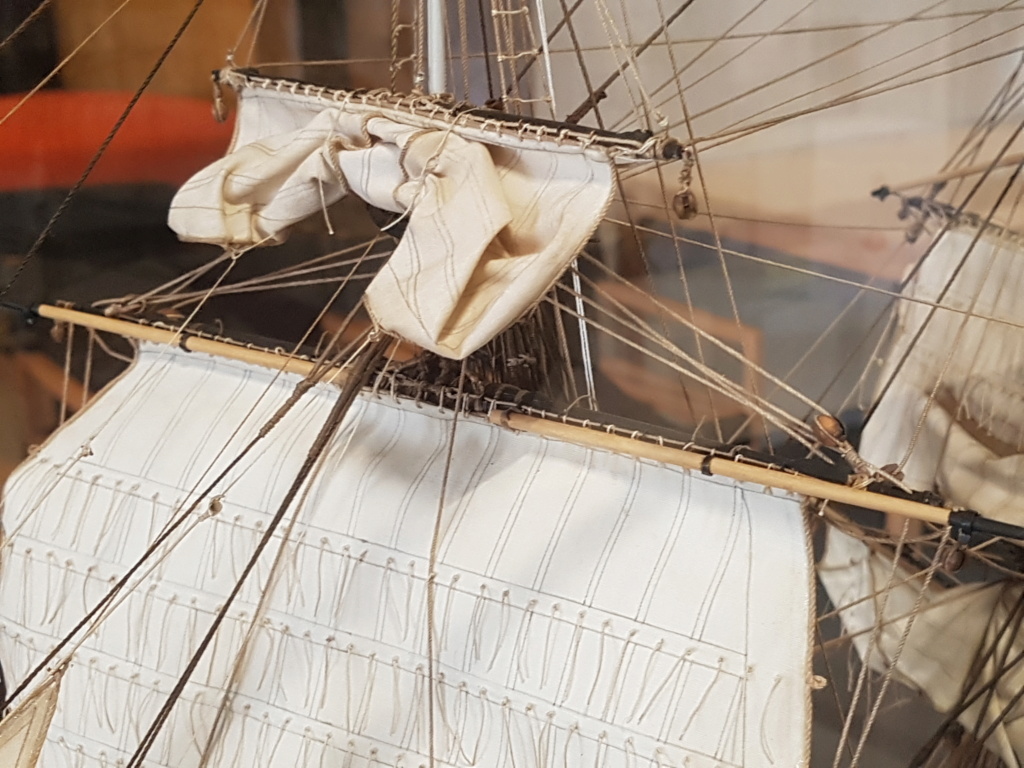 HMS Beagle de Cl. Poulin (Médiathèque Musée d'Histoire Naturelle Paris) 20210752
