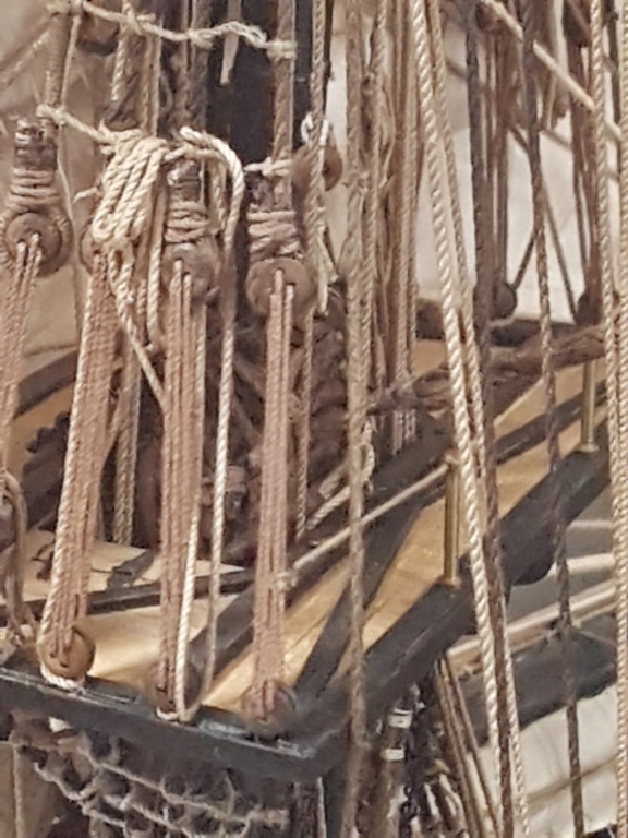 HMS Beagle de Cl. Poulin (Médiathèque Musée d'Histoire Naturelle Paris) 20210754