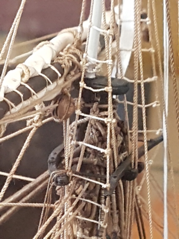 HMS Beagle de Cl. Poulin (Médiathèque Musée d'Histoire Naturelle Paris) 20210756
