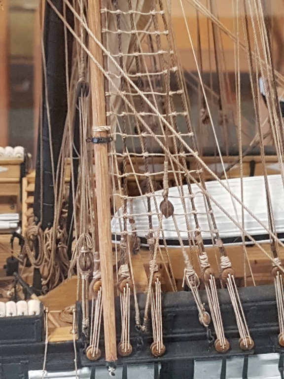 HMS Beagle de Cl. Poulin (Médiathèque Musée d'Histoire Naturelle Paris) 20210758