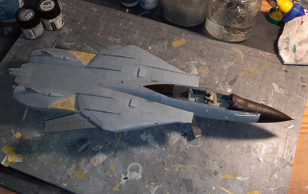 [AMK et TAMIYA] 1/48 - Grumman F-14D Super Tomcat 20220162