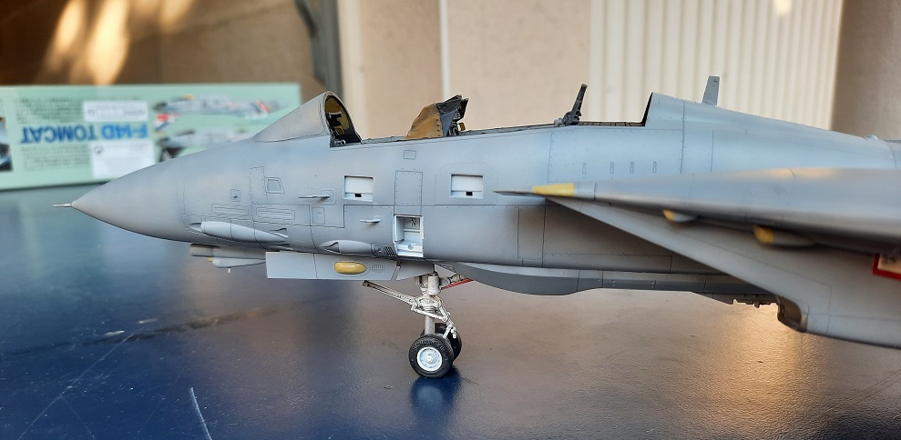 [AMK et TAMIYA] 1/48 - Grumman F-14D Super Tomcat - Page 3 20220340