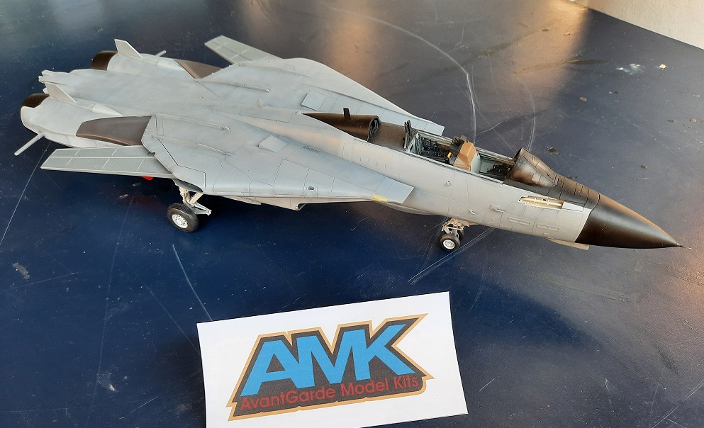 [AMK et TAMIYA] 1/48 - Grumman F-14D Super Tomcat - Page 3 20220341