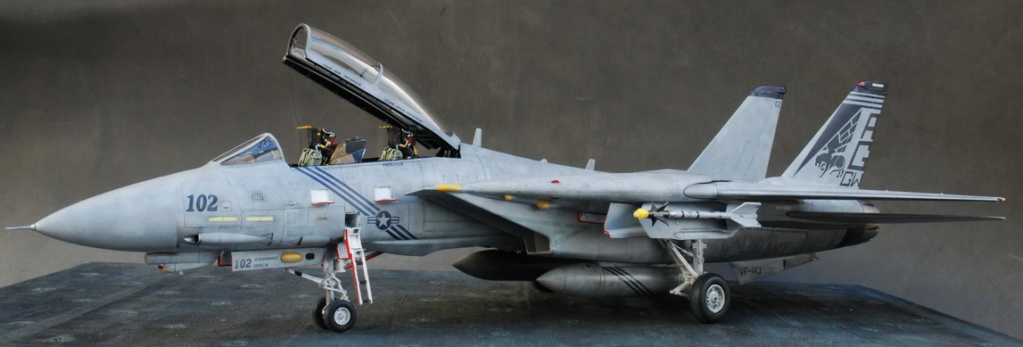 TOMCAT FOR EVER - F14B Bomcat / HOBBY BOSS 1/48 - Page 2 Dsc_0010